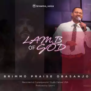 Obasanjo Brimmo Praise - Lamb of God